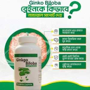Ginkgo Biloba